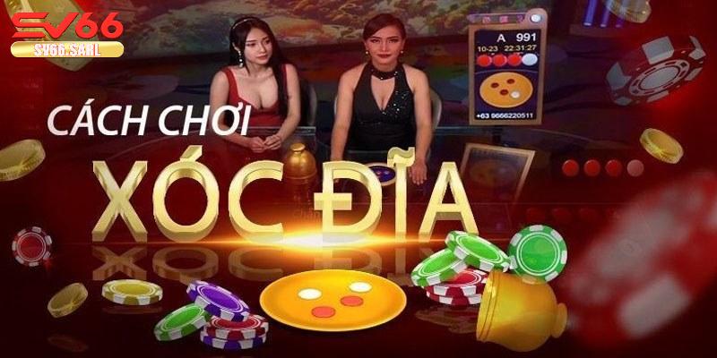 Quy luật cược xóc đĩa trực tuyến chi tiết nhất